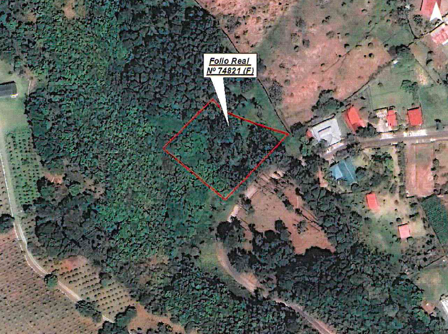 Boquete: Fincas disponibles (2)